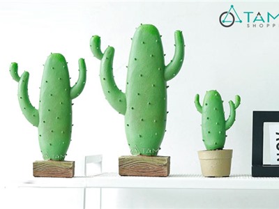 Chậu xương rồng để bàn số 76